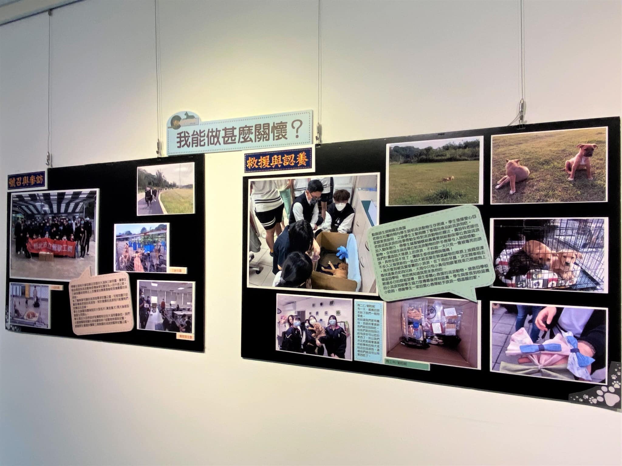 20221022新北市鶯歌工商校內師生聯合展出【當雄心壯志遇見浪浪－師生遇見流浪動物影像紀實展~給浪浪一個家】-6