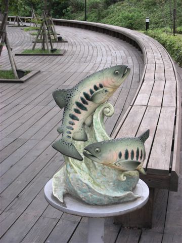 裝置藝術 兩隻魚