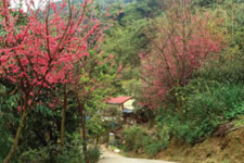 中坑步道.jpg