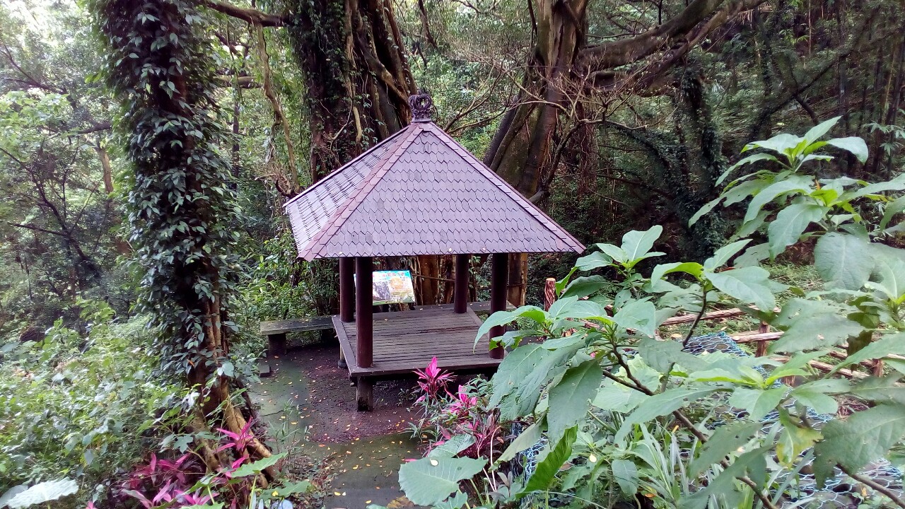 石雲步道.jpg